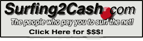 Get paid to surf the net!